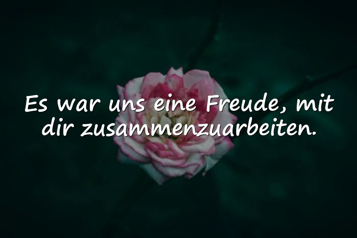 Bilder mit abschied kollegin spruch - 5