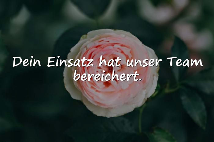 Bilder mit abschied kollegin spruch - 23