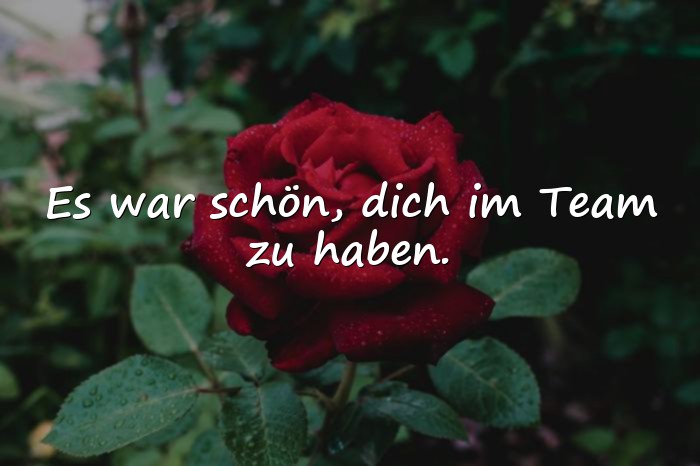 Bilder mit abschied kollegin spruch - 19