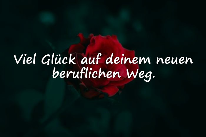 Bilder mit abschied kollegin spruch - 11