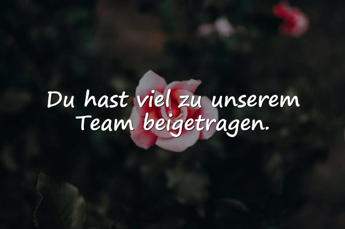 Bilder mit abschied kollegin spruch - 7