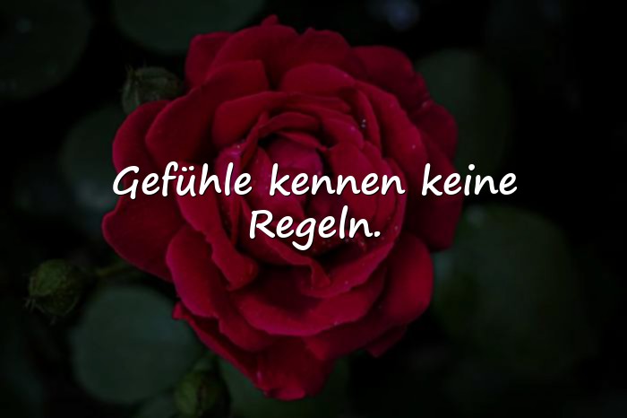 Bilder mit affäre sprüche - 21