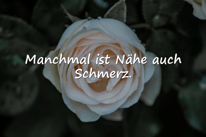 Bilder mit affäre sprüche - 16