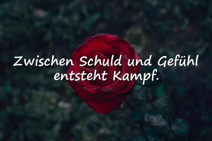 Bilder mit affäre sprüche - 21