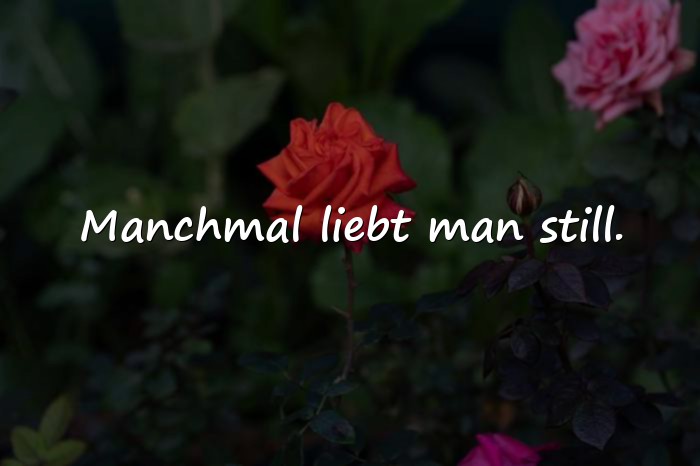Bilder mit affäre sprüche - 16