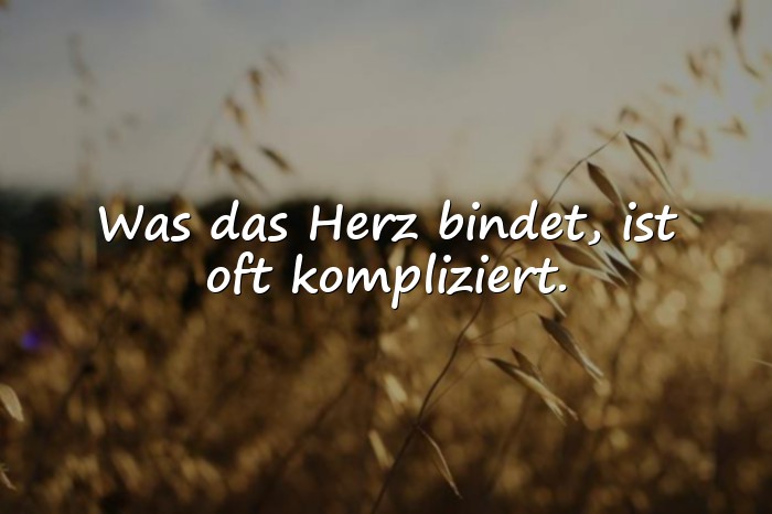 Bilder mit affäre sprüche - 11