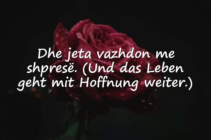 Bilder mit albanische sprüche - 1