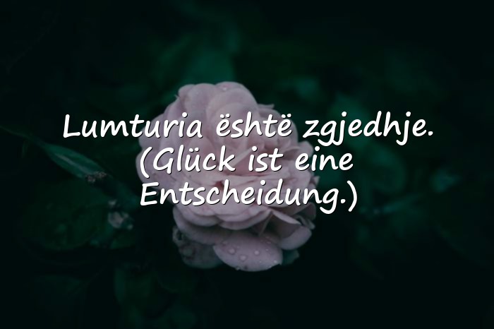 Bilder mit albanische sprüche - 6