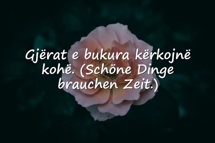 Bilder mit albanische sprüche - 1