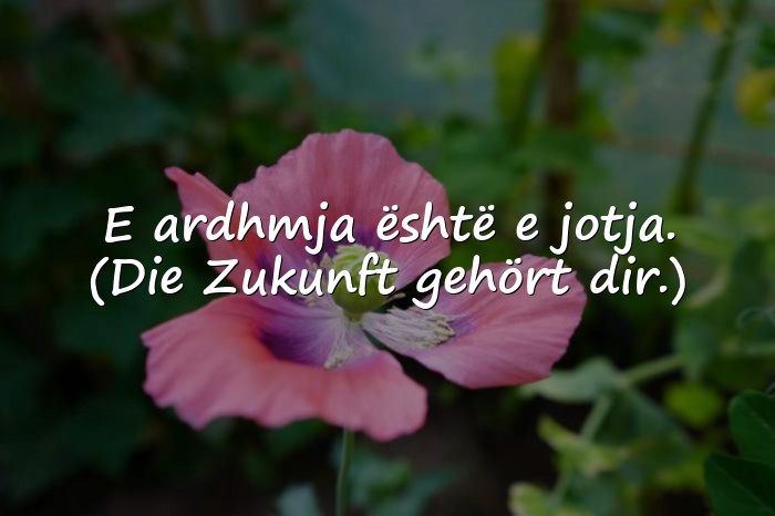 Bilder mit albanische sprüche - 16