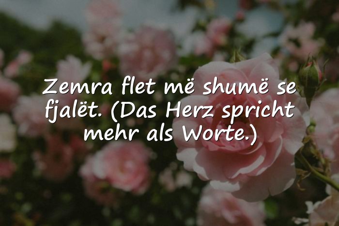 Bilder mit albanische sprüche - 11