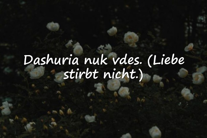 Bilder mit albanische sprüche - 6