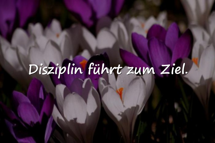 Bilder mit arbeit sprüche - 20
