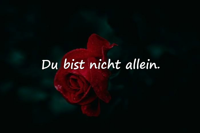 Bilder mit aufmunternde sprüche - 3
