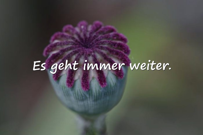 Bilder mit aufmunternde sprüche - 18