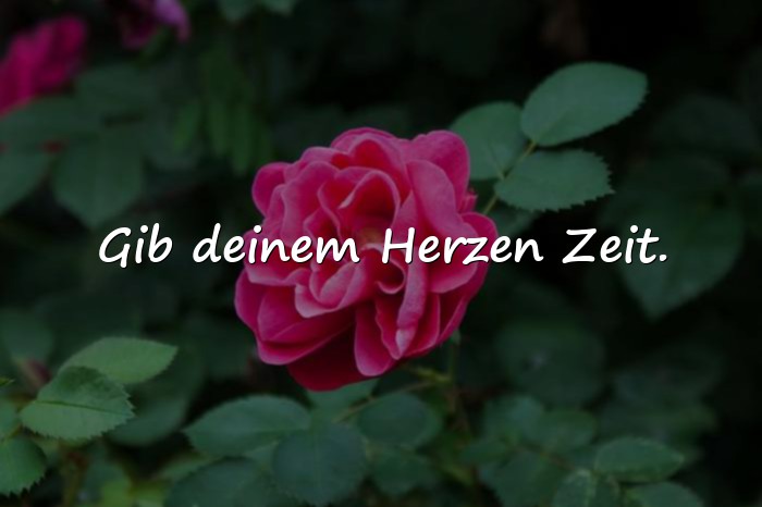 Bilder mit aufmunternde sprüche - 5