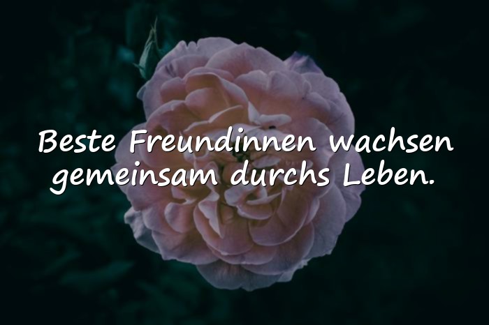 Bilder mit beste freundin sprüche - 14