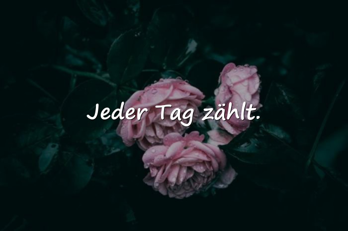 Bilder mit beste sprüche - 4