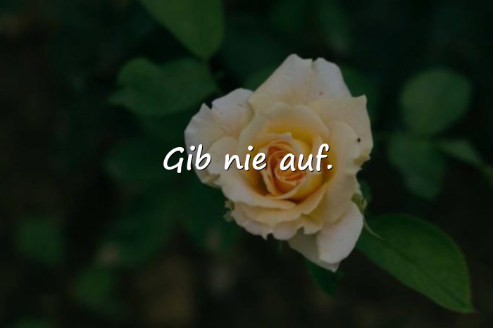 Bilder mit beste sprüche - 25