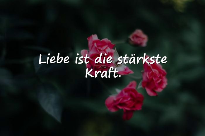 Bilder mit beste sprüche - 11