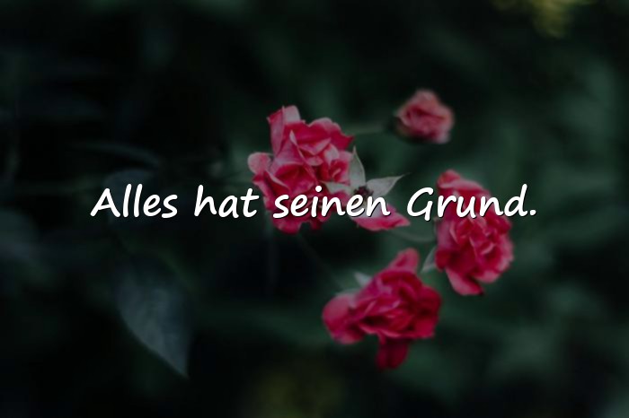Bilder mit beste sprüche - 7