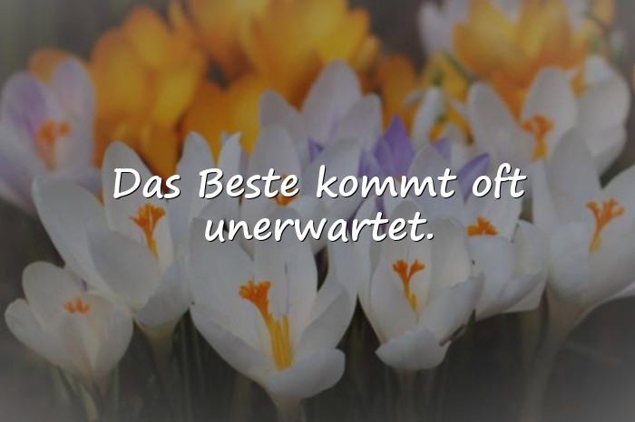Bilder mit beste sprüche - 3