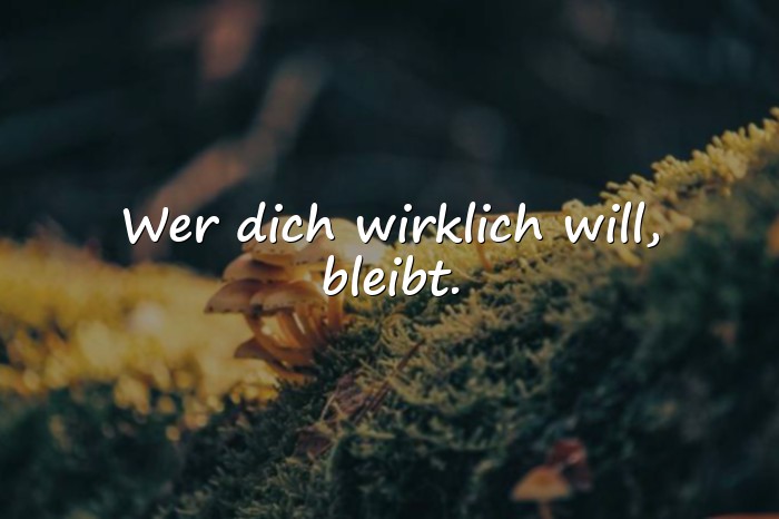 Bilder mit beste sprüche - 23