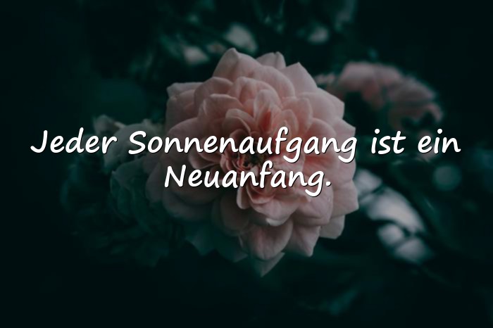 Bilder mit beste sprüche - 10