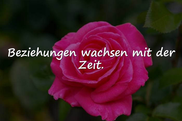 Bilder mit beziehung sprüche - 21