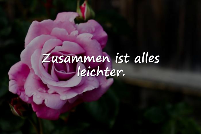 Bilder mit beziehung sprüche - 16