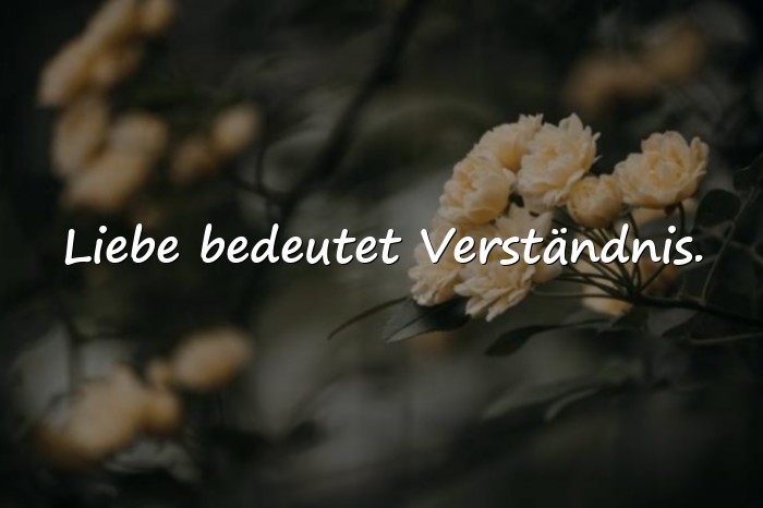 Bilder mit beziehung sprüche - 11