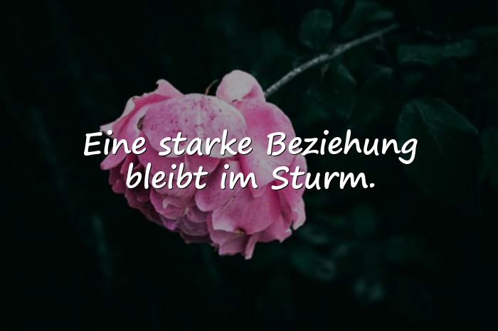 Bilder mit beziehung sprüche - 6