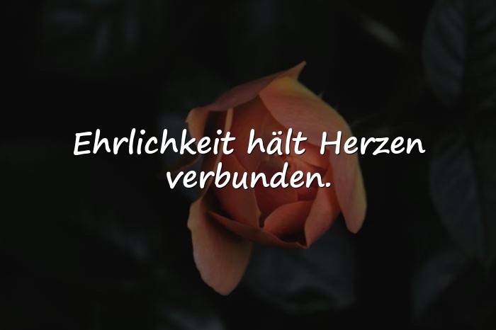 Bilder mit beziehung sprüche - 11