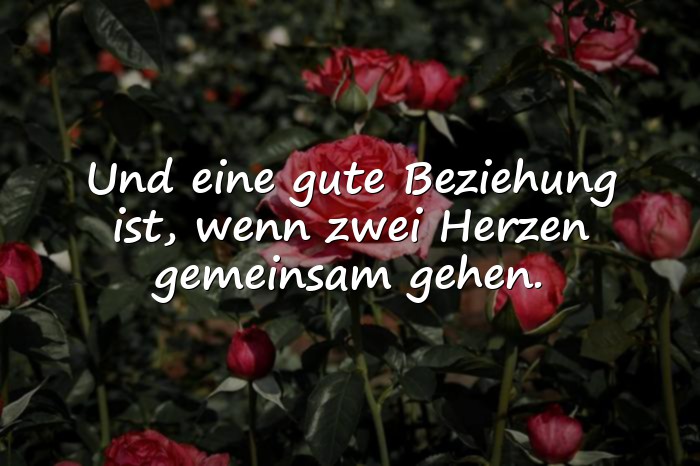 Bilder mit beziehung sprüche - 1