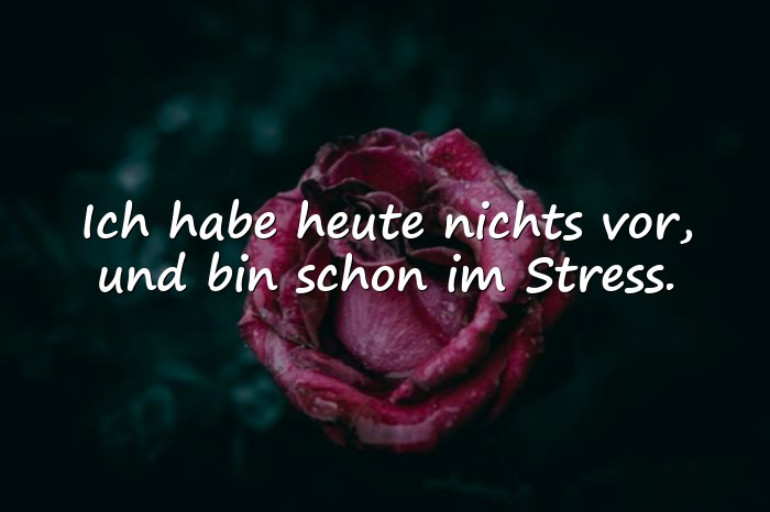 Bilder mit blöde sprüche - 20