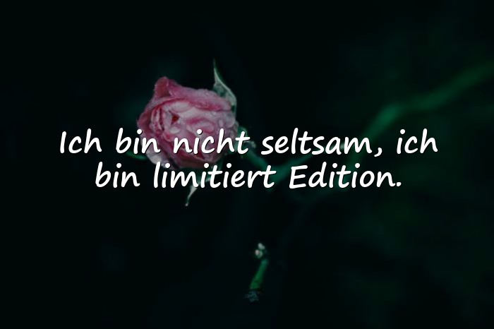Bilder mit blöde sprüche - 21