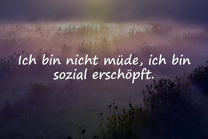 Bilder mit blöde sprüche - 11