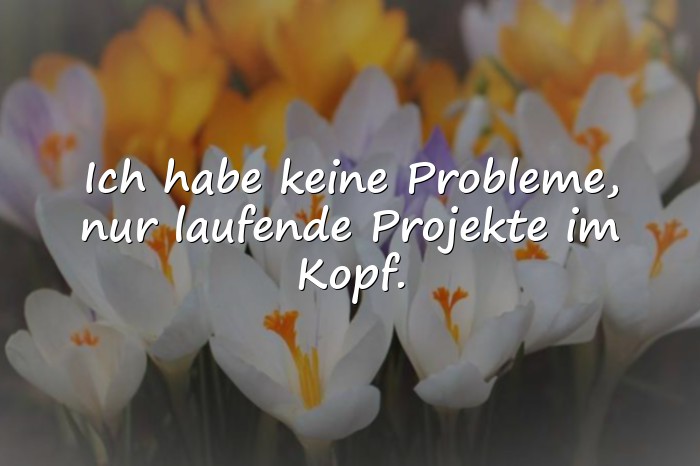 Bilder mit blöde sprüche - 6