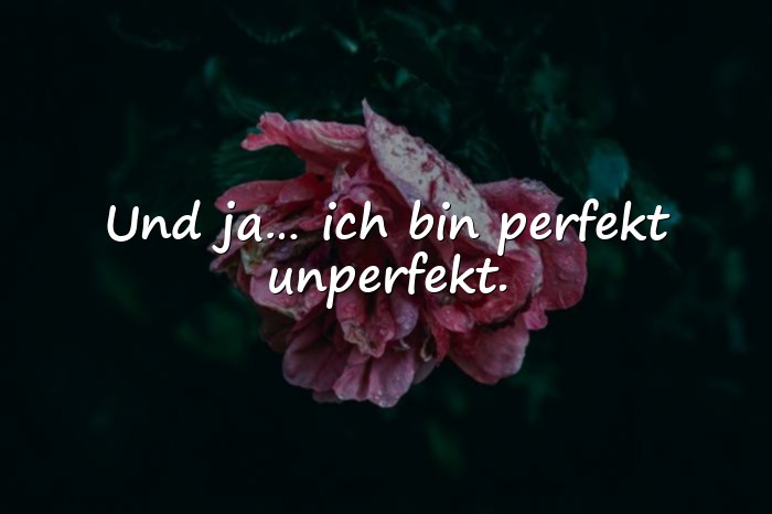 Bilder mit blöde sprüche - 1
