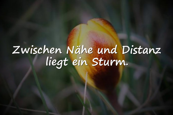 Bilder mit borderline sprüche - 21
