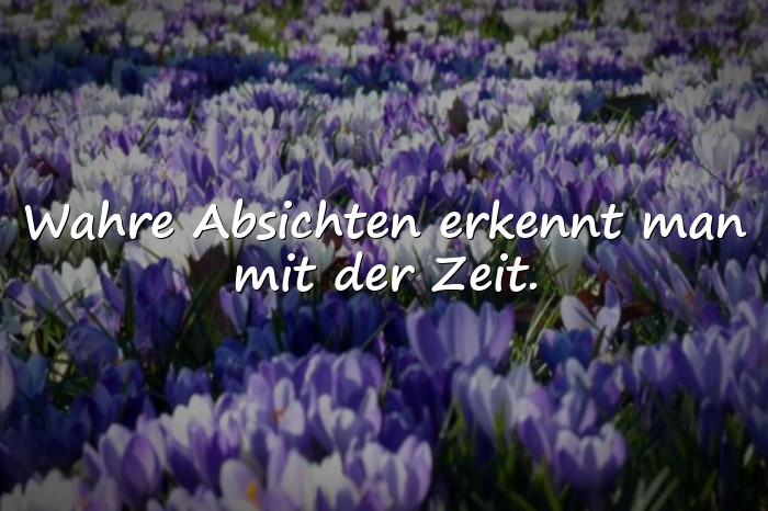 Bilder mit böse menschen sprüche - 13