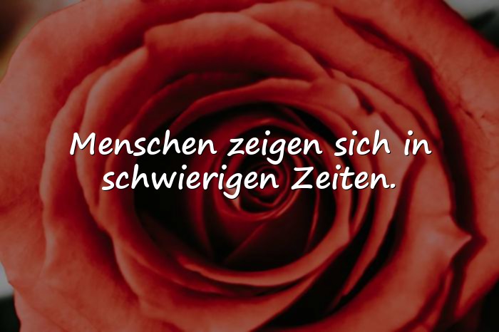 Bilder mit böse menschen sprüche - 10