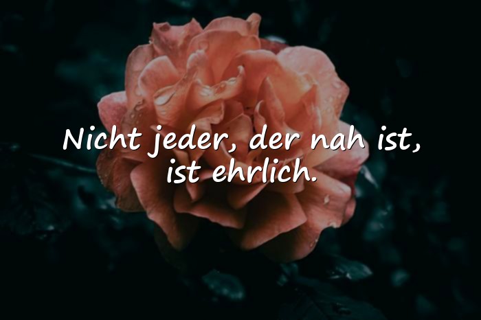 Bilder mit böse menschen sprüche - 11