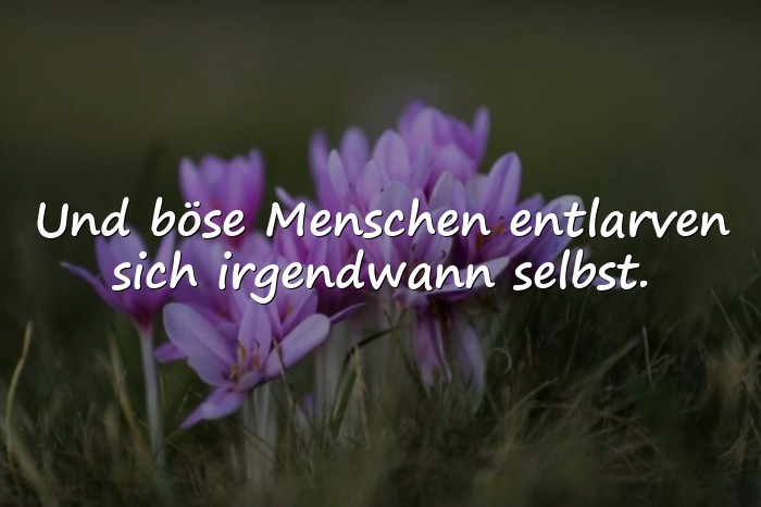 Bilder mit böse menschen sprüche - 1