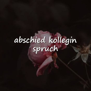 abschied kollegin spruch - 2026