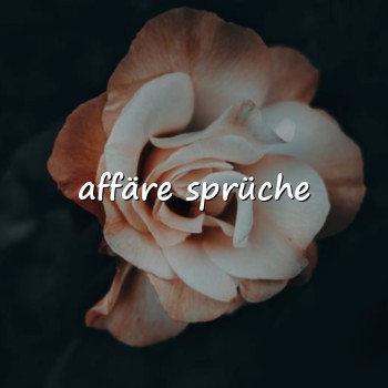 affäre sprüche - 2026