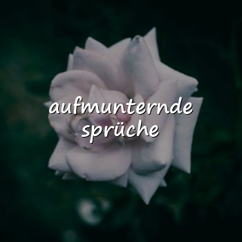aufmunternde sprüche - 2026