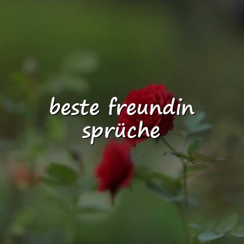 beste freundin sprüche - 2026