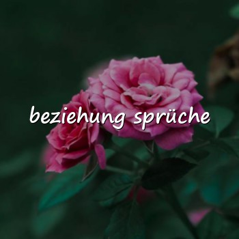 beziehung sprüche - 2026
