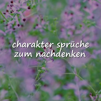 charakter sprüche zum nachdenken - 2026